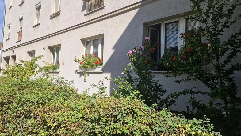 Fassade eines Wohngebäudes mit blühenden Blumenkästen an den Fenstern und einer gepflegten Hecke im Vordergrund.