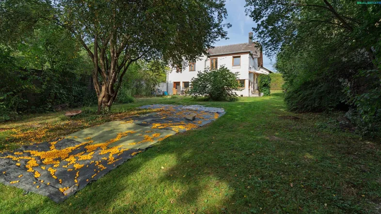 Großer Garten mit Rasenfläche und Obstbäumen, im Hintergrund das weiße Wohnhaus.