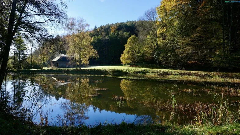 Idyllische Landschaft mit einem Teich und einem kleinen Gebäude im Herbstwald, umgeben von üppiger Natur.