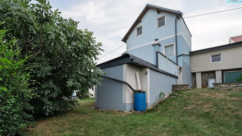 Ansicht des Hauses von der Seite mit Gartenbereich, Rasenfläche und einem großen Baum.