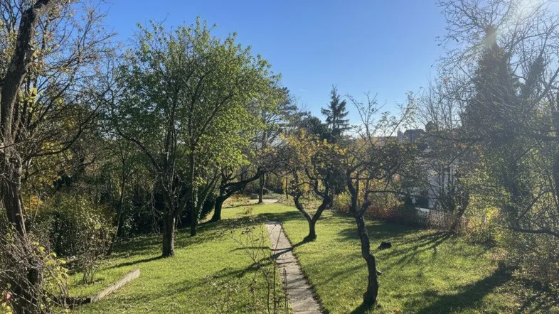 Sonnige Gartenanlage mit altem Baumbestand und einem gewundenen Pfad durch das grüne Gras.