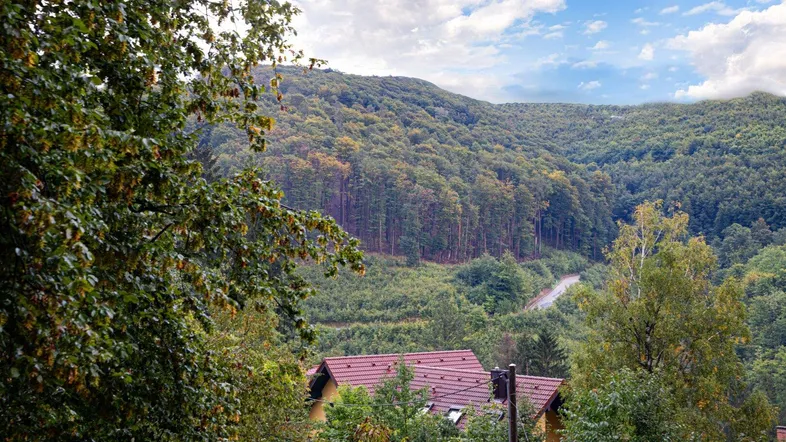 Panoramablick auf bewaldete Hügel und ein Hausdach unter einem bewölkten Himmel.