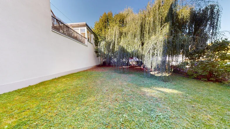 Gepflegter Rasenbereich mit einem großen Trauerweidenbaum neben der Hausfassade in sonniger Lage.