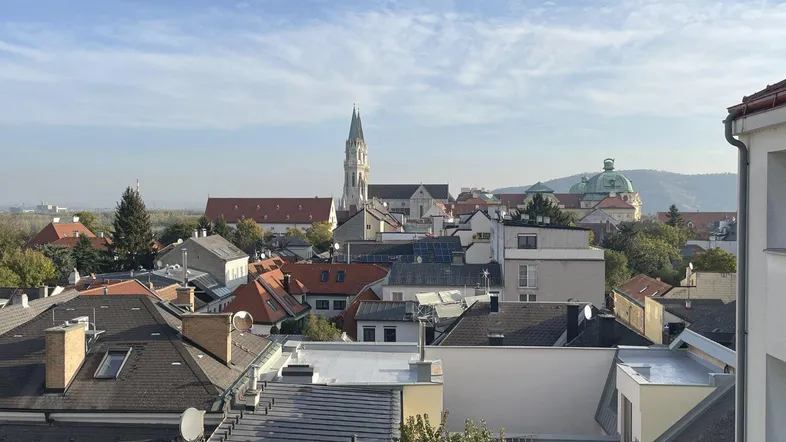 Panoramablick über die Dächer der Stadt mit historischer Kirche und weitem Horizont.