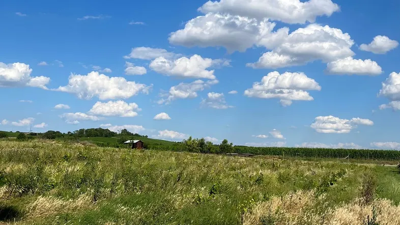 Weite Landschaft mit grünen Feldern, blauem Himmel und einer ländlichen Umgebung unter strahlender Sonne.