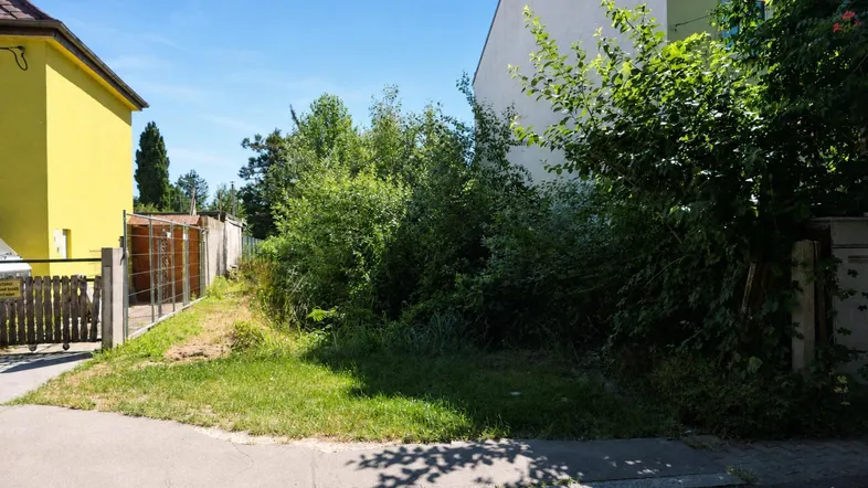 Überwachsenes Grundstück mit viel Grünfläche neben einem gelben Gebäude unter blauem Himmel.