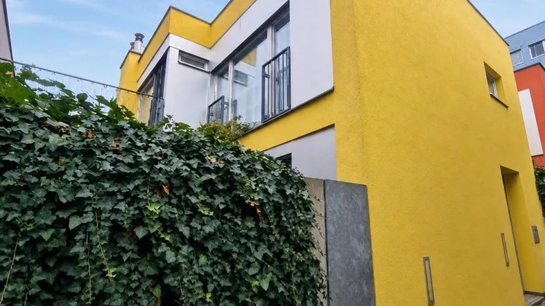 Moderne Architektur mit leuchtend gelber Fassade und üppigem Efeu an der Wand.