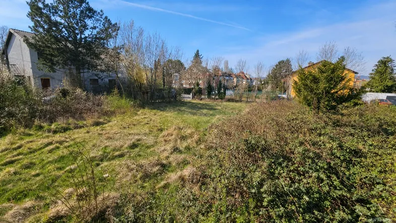 Überwachsenes Grundstück mit Gras und Büschen, umgeben von Bäumen und Gebäuden im Hintergrund.