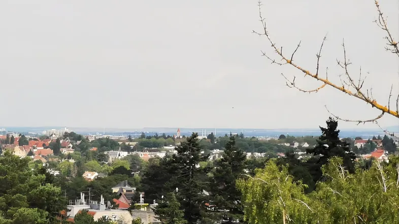 Weitläufige Aussicht über die Stadt und grüne Baumwipfel an einem bewölkten Tag.