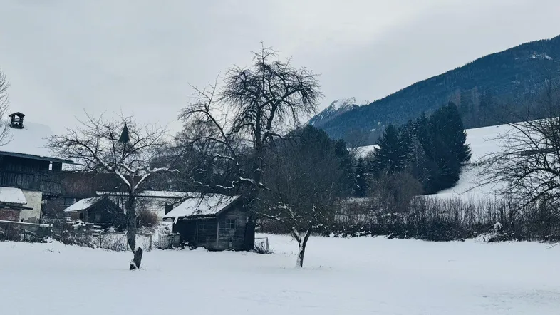 Winterliche Landschaft mit verschneiten Bäumen, einem kleinen Schuppen und Bergen im Hintergrund.