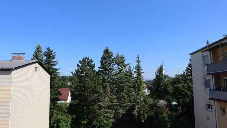 Blick aus dem Fenster auf grüne Bäume und umliegende Gebäude unter blauem Himmel.