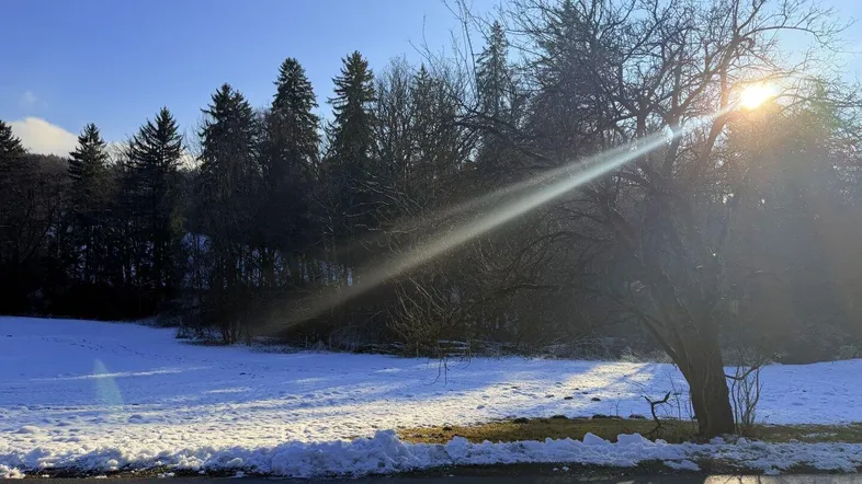 Winterliche Landschaft mit verschneitem Feld, Bäumen und strahlendem Sonnenschein am Horizont.