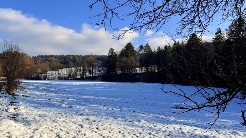 Winterliche Landschaft mit verschneitem Feld und Wald unter blauem Himmel und einzelnen Wolken.