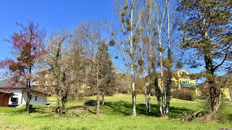 Grünes Grundstück mit Bäumen und Blick auf umliegende Häuser unter blauem Himmel.