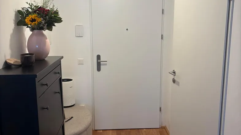 Heller Eingangsbereich mit Holzfußboden, modernem Schuhschrank und weißer Tür.