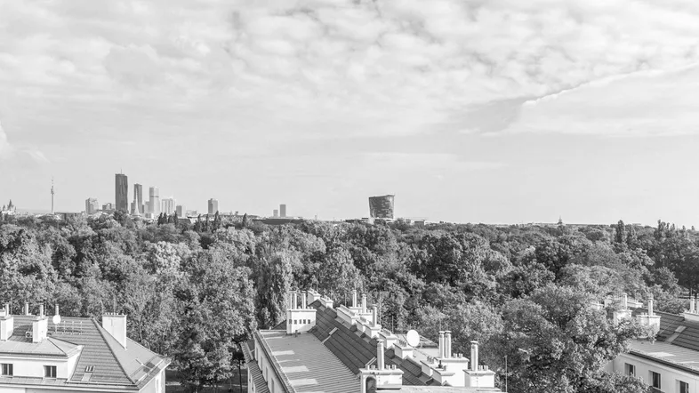 Panoramablick über die Stadt mit grünen Baumwipfeln und urbaner Skyline in Schwarz-Weiß.