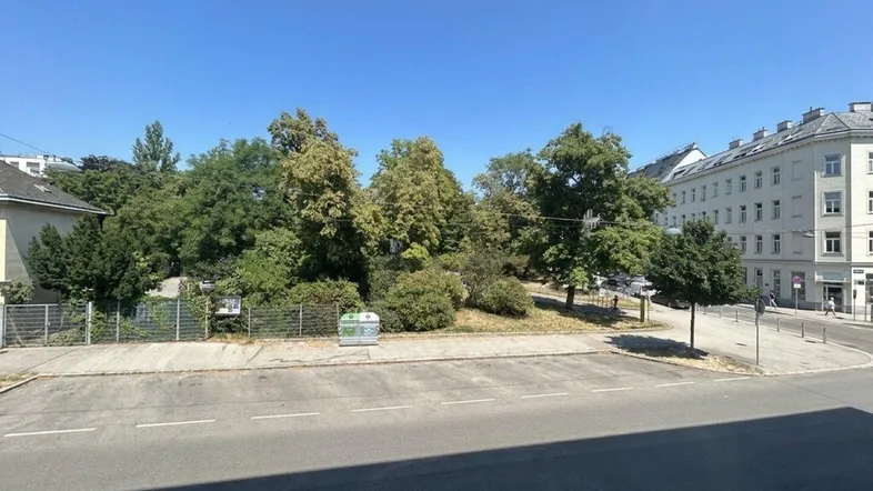 Blick auf eine grüne Straße mit Bäumen und umliegenden Gebäuden unter blauem Himmel.