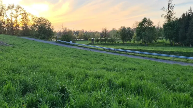 Weitläufige grüne Landschaft mit einem Weg, Bäumen und einem See im Hintergrund bei Sonnenuntergang.