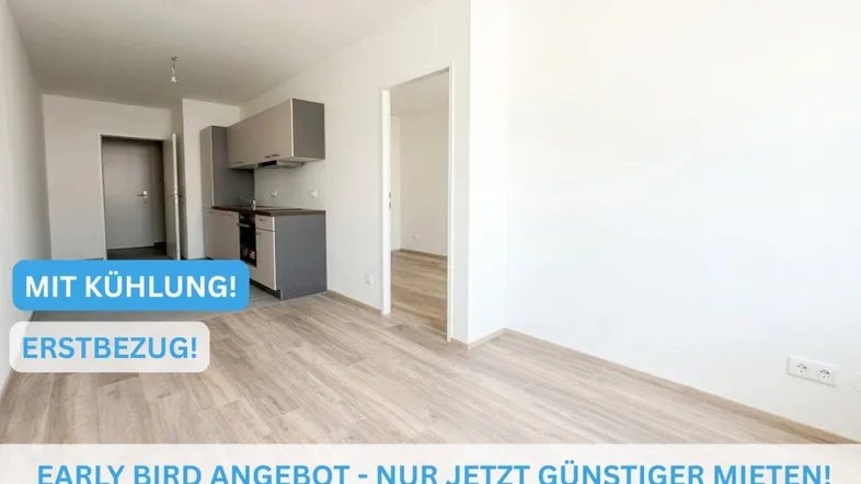 Heller Wohnbereich mit integrierter Küchenzeile und neuem Laminatboden, ideal für Erstbezug.