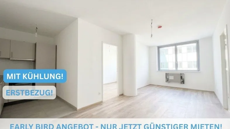 Heller Wohn- und Essbereich mit neuem Laminatboden und integrierter Küchenzeile, ideal für Erstbezug.