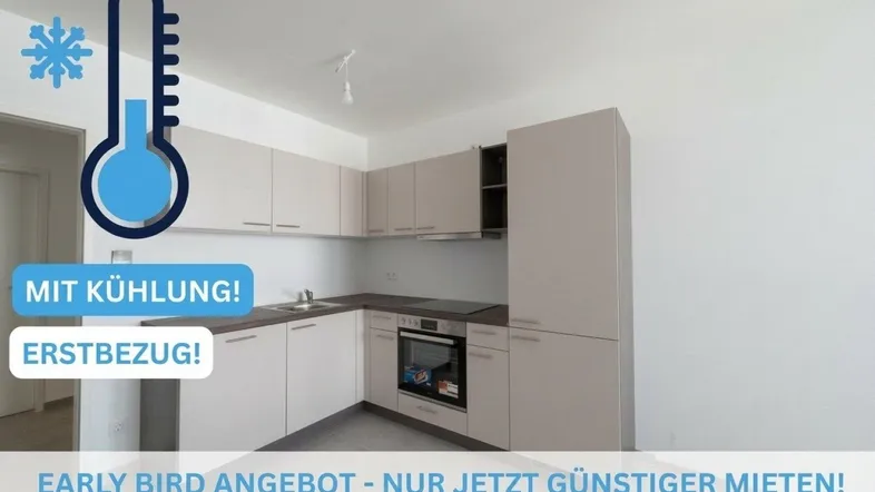 Küche mit allen Geräten, die das Herz begehrt