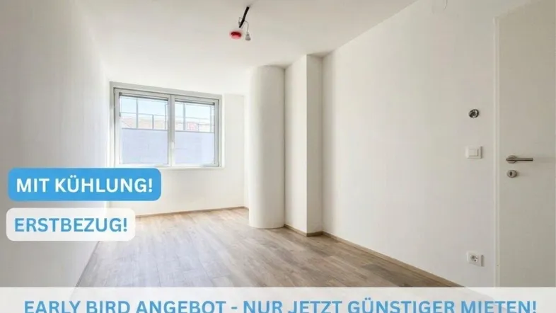 Helles, unmöbliertes Zimmer mit Laminatboden und großen Fenstern, ideal für Erstbezug.