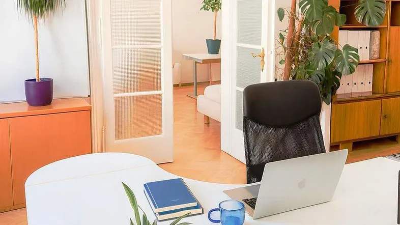 Helles Büro mit modernem Schreibtisch, Pflanzen und Blick durch Glastüren in einen weiteren Raum.