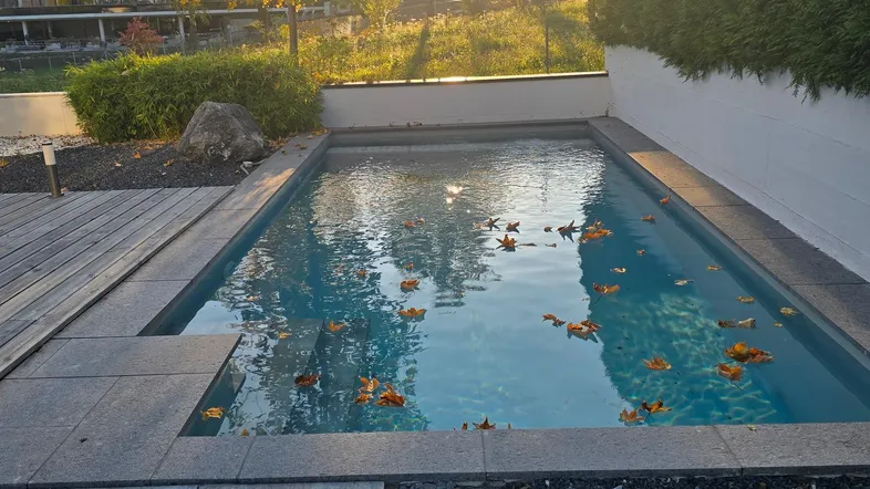 Außenpool mit Holzdeck und Kiesbereich, umgeben von Bäumen im herbstlichen Sonnenlicht.