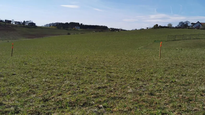 Weitläufiges grünes Feld mit Markierungspfählen unter blauem Himmel und Blick auf die Landschaft.