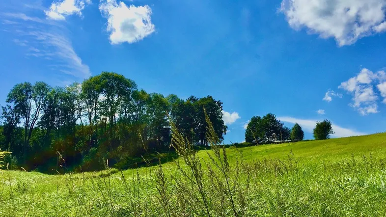 Grüne Hügellandschaft unter strahlend blauem Himmel mit vereinzelten Wolken.
