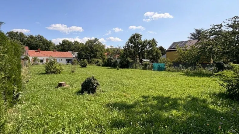 Großes, sonniges Grundstück mit Rasenfläche und umliegenden Häusern unter blauem Himmel.