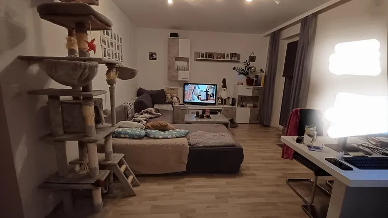 Helles Wohnzimmer mit gemütlichem Sofa, Fernseher und großem Katzenbaum.