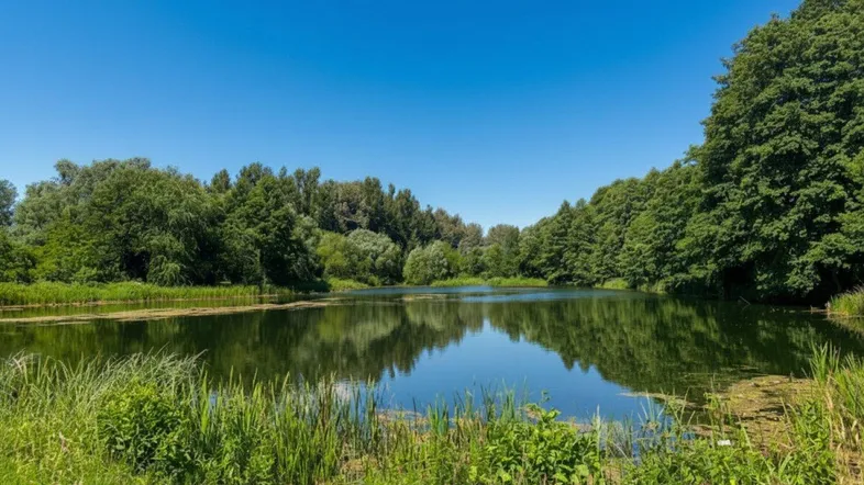 Idyllischer See umgeben von dichtem Grün und Bäumen unter strahlend blauem Himmel.