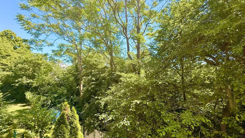Grüner Ausblick von einem Balkon mit üppiger Vegetation und blauem Himmel.