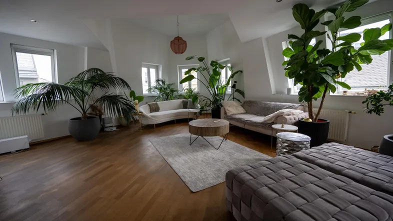 Geräumiges und helles Wohnzimmer mit vielen Pflanzen, Parkettboden und gemütlichen Sofas.