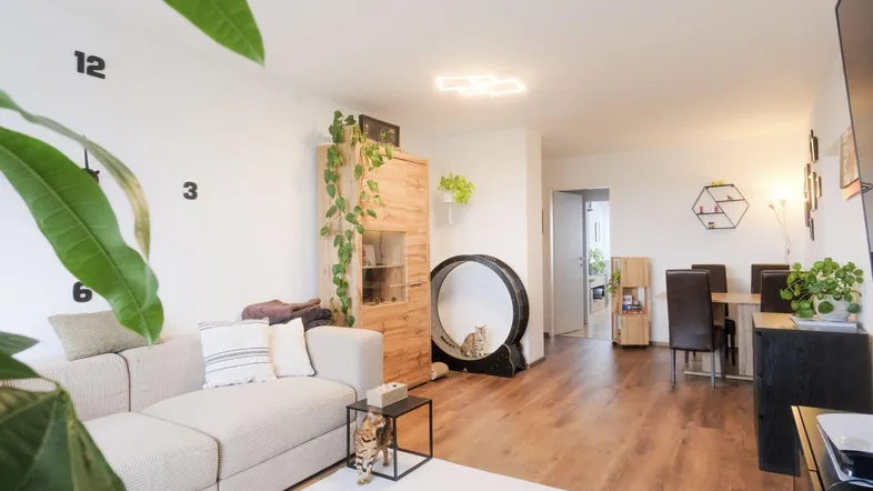 Helles Wohn- und Esszimmer mit modernem Interieur, Holzboden und Pflanzen.