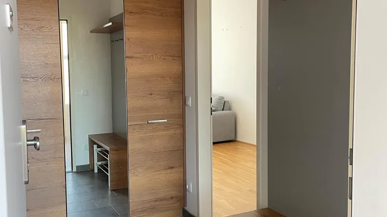Moderner Eingangsbereich mit Einbauschränken aus Holz, großem Spiegel und Fliesenboden.