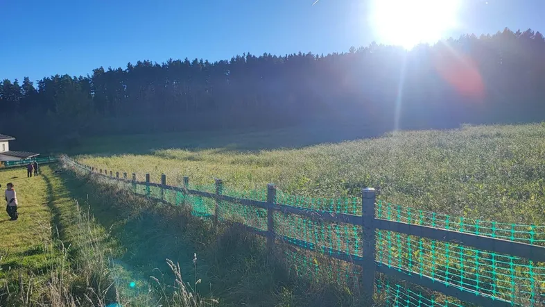 Sonniges Feld mit Zaun und Waldrand im Hintergrund, ideal für ländliches Wohnen.