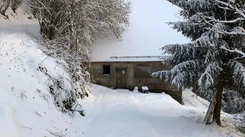 Kleines Haus im verschneiten Wald, umgeben von hohen Tannen und einer dicken Schneedecke.