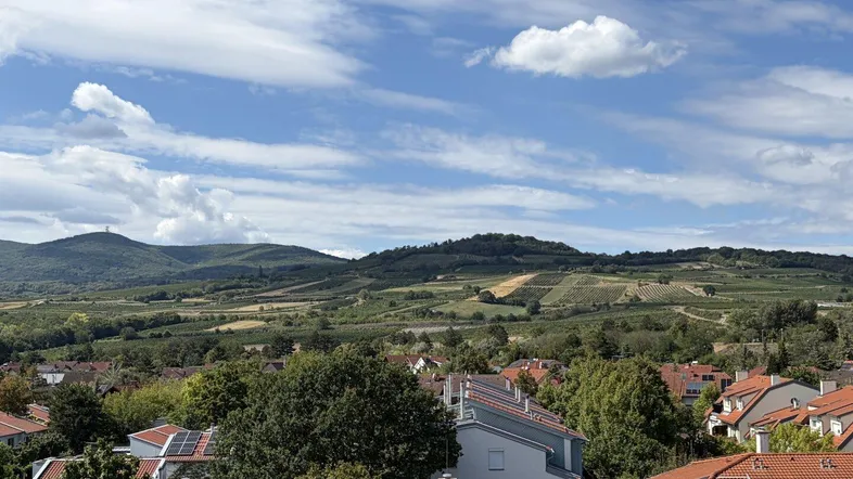 Weitläufiger Blick über grüne Hügel, Weinberge und eine Wohnsiedlung unter blauem Himmel.