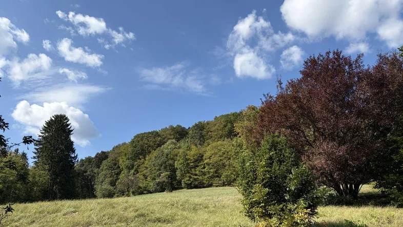 Weitläufige Landschaft mit grünen Hügeln und Bäumen unter einem strahlend blauen Himmel.