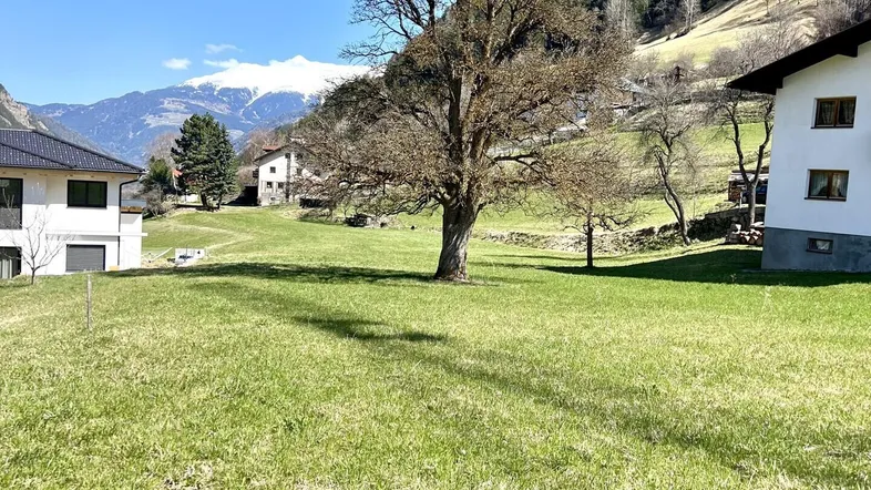 Weitläufige Grünfläche mit altem Baum und Blick auf die umliegende Berglandschaft unter blauem Himmel.