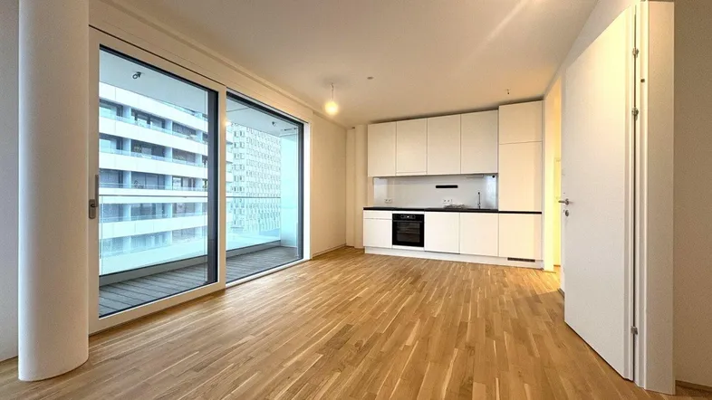 Heller offener Wohnbereich mit integrierter Küche, Parkettboden und Zugang zum Balkon.