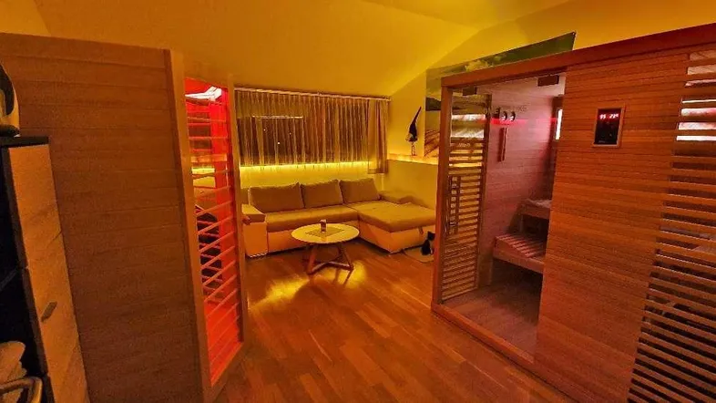 Gemütlicher Wohnbereich mit Holzfußboden, Ecksofa und integrierter Sauna für Entspannung.