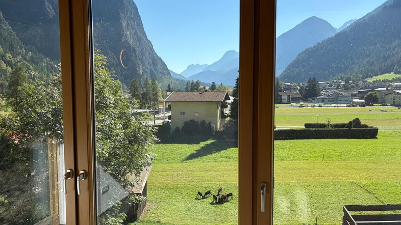 Blick aus dem Fenster auf eine grüne Wiese und die umliegenden Berge.