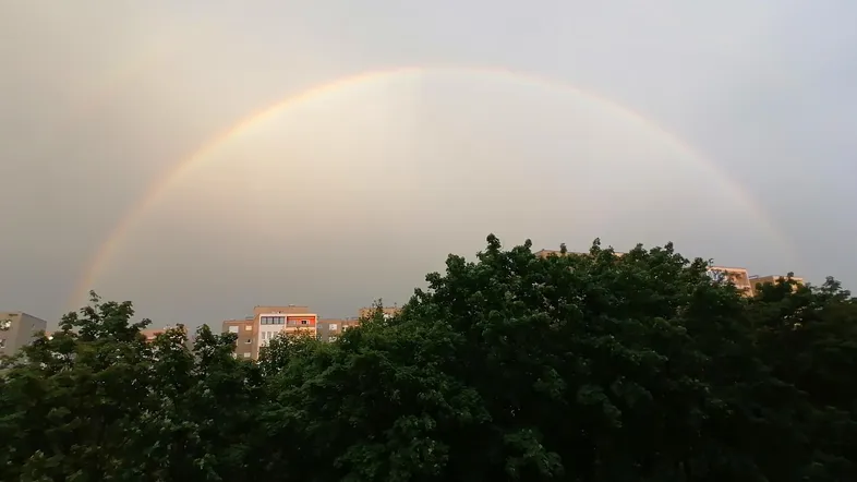 Regenbogen über Bäumen und Gebäuden in der Ferne, ein friedlicher Ausblick über die Stadt.