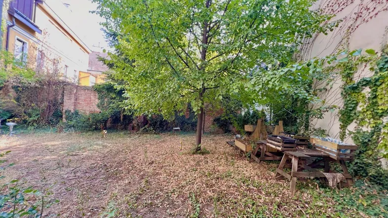 Großer, naturbelassener Gartenbereich mit altem Baumbestand und viel Grün, umgeben von bewachsenen Mauern.