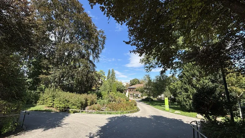 Straße führt durch eine grüne, baumbestandene Umgebung zu einem Gebäude im Hintergrund.