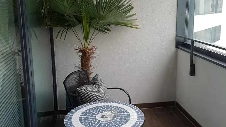 Gemütlicher Balkon mit Sitzgelegenheiten und einer Palme, ideal für entspannte Stunden im Freien.