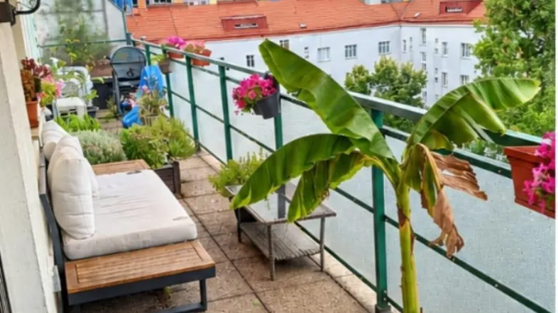 Gemütlicher Balkon mit Markise, Pflanzen und Sitzgelegenheiten, ideal zum Entspannen im Freien.
